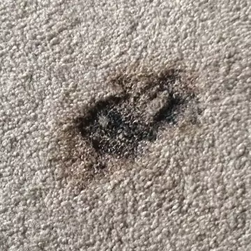 Carpet Burn Repair Sydney