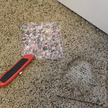 Carpet Hole Repair Sydney