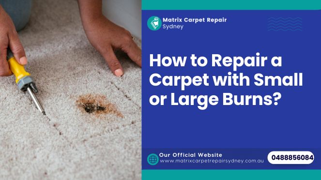Repair Burns Carpet