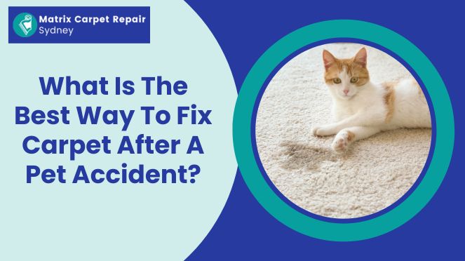 What Is The Best Way To Fix Carpet After A Pet Accident